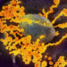 Así es el paso a paso del contagio del coronavirus, según un nuevo estudio