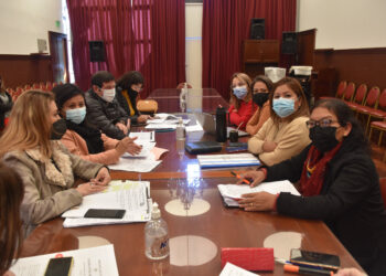 La Comisión de Asuntos Sociales realizará aportes para la modificación de la ley Nacional sobre discapacidad