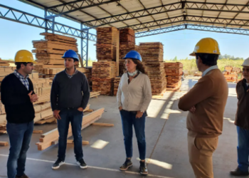 Reconocen labor «modelo» del Centro Foresto Industrial de Arrayanal