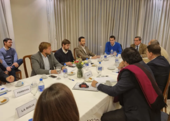 Combustibles, logística y la tarifa eléctrica plana en la agenda de las diez provincias