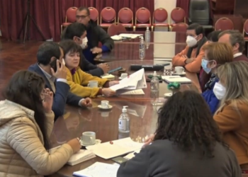 «Día de la mujer jujeña»: el proyecto de ley que busca poner el valor a la mujer jujeña que participaron de la gesta libertaria