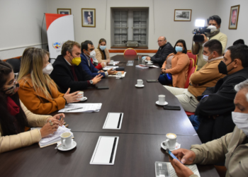 La Comisión de Salud recibió a referentes de la Asociación de obstetras y Ginecólogos de Jujuy