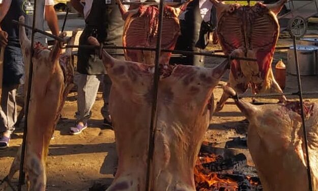 San Pedro: el Patio Criollo se vivió a pleno en Jaque