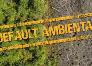Argentina entra en «default ambiental»