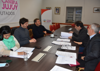 La Legislatura de Jujuy trabaja en una Ley Penal Juvenil para la provincia