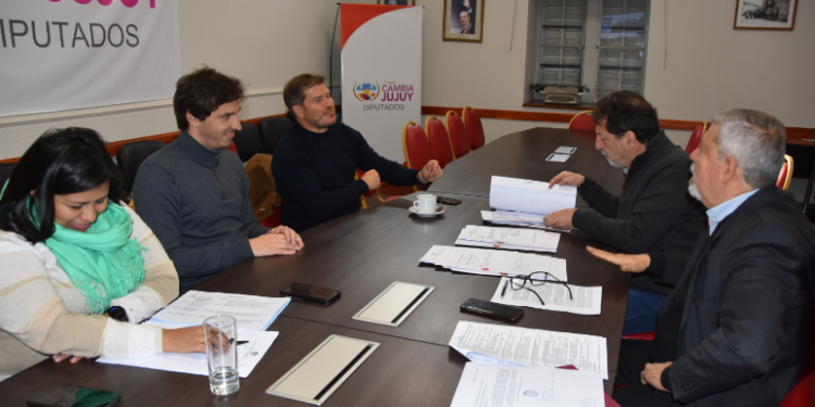 La Legislatura de Jujuy trabaja en una Ley Penal Juvenil para la provincia