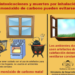 Recomendaciones para evitar intoxicaciones por monóxido de carbono