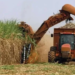 Se declaró la emergencia agraria para el sector cañero