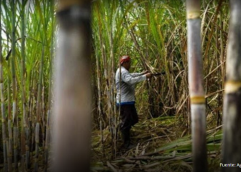 Jorge Rois: “estamos teniendo problemas en el transporte y en la cosecha”