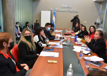 La Comsión de Cultura y Turismo se entrevistó con historiadoras