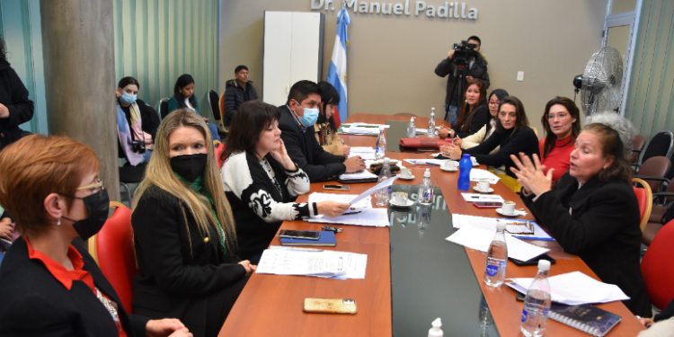 La Comsión de Cultura y Turismo se entrevistó con historiadoras