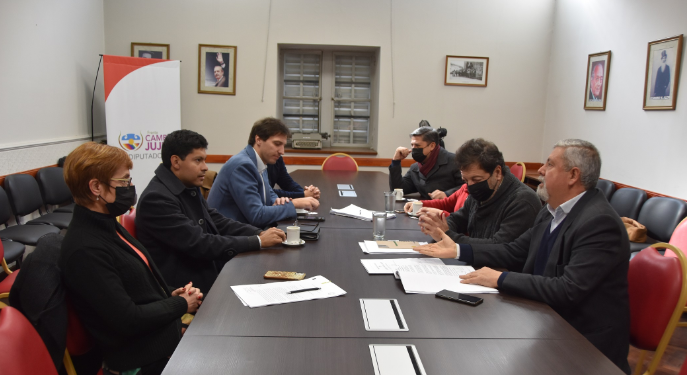 Legislativas: Despacho positivo al Proyecto de Ley de Creación la Compañia de Seguros de Jujuy