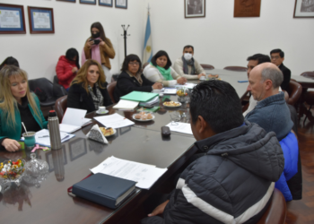 La Comisión de Ambiente recibió aportes de especialistas para enriquecer el Proyecto de Creación del Programa de Prevencióny Atenuación de accidentes contra la fauna silvestre