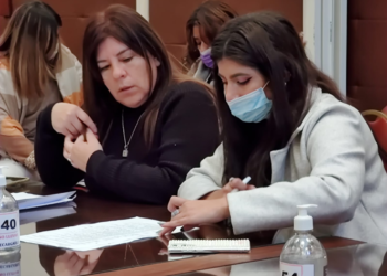 La Comisión de Igualdad de Género estudia el Proyecto de Cupo Laboral Trans y el Acoso Callejero 