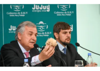 El Gobernador Morales despachó el primer embarque de fibra de vicuña a Italia