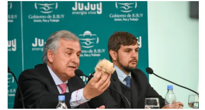 El Gobernador Morales despachó el primer embarque de fibra de vicuña a Italia