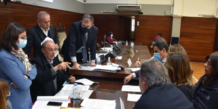 Se aprobaron las creaciones de la Defensoría de Niños, de régimen de tenencia responsable de animales de compañía y del Sistema provincial de residencias