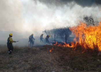Inicia temporada alta de incendios forestales: La clave es la prevención