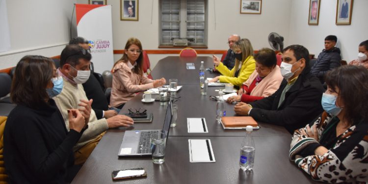 El Proyecto de Residencias de Profesionales de la Salud llegó a la Legislatura