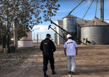 Evasión: La AFIP detectó 2700 hectáreas cultivadas no declaradas