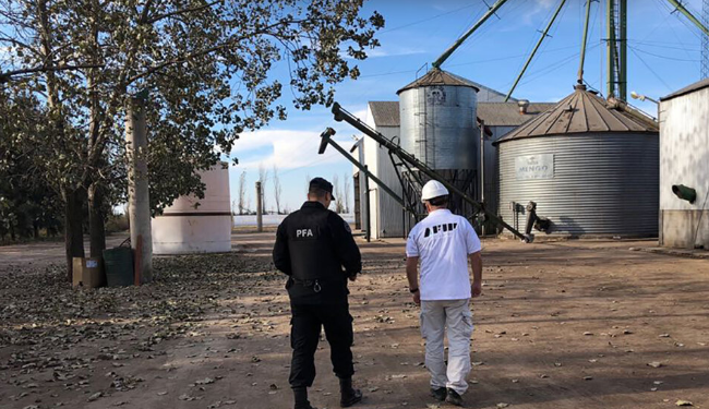 Evasión: La AFIP detectó 2700 hectáreas cultivadas no declaradas