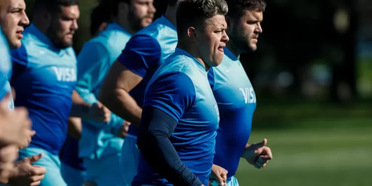 Los Pumas vs All-Blacks: hora, fecha y formaciones