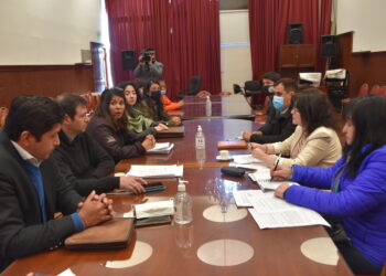 Buscan consensuar un proyecto para profesionalizar a Guías de Turismo y adecuar la normativa