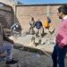 Continua el Plan Hornero con el trabajo de bloqueras solidarias