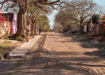 Avanza la construcción del cordón cuneta en barrio San Francisco