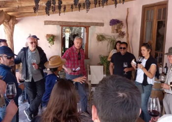 Jujuy al Mundo: acciones para fortalecer la exportación de vinos