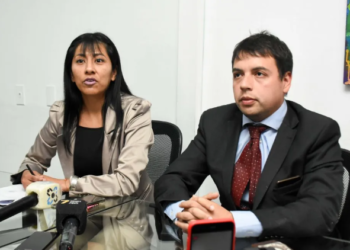 El Consejo de la Mujer denunció a Milagro Sala por violencia de género