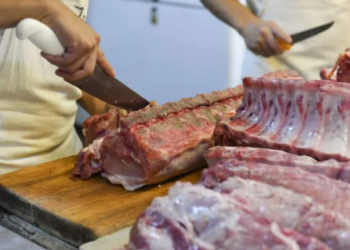 Carne: con el fin de la media res, el Gobierno espera que baje el precio