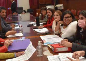 La Comision de Asuntos Sociales trabajó sobre distintos proyectos