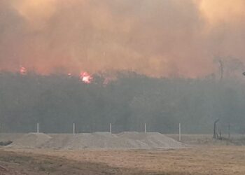 Los incendios ya afectaron más de 2100 hectáreas de las Yungas