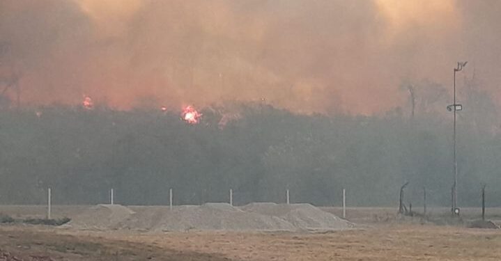 Los incendios ya afectaron más de 2100 hectáreas de las Yungas