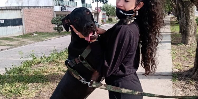 De trabajar en la mesada de su casa a tener su propio centro de estética canina