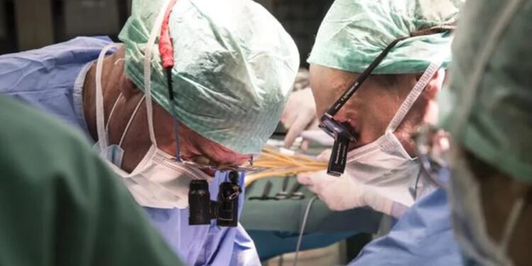 Argentina será anfitriona del congreso internacional de trasplantes