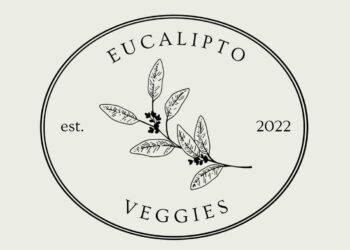 Cocina saludable desde casa para la venta al publico