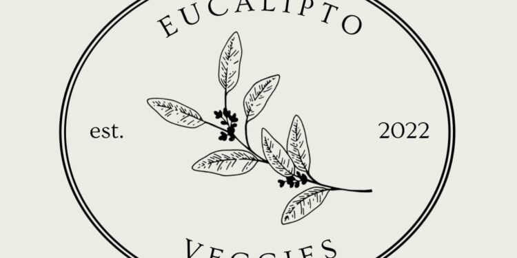 Cocina saludable desde casa para la venta al publico