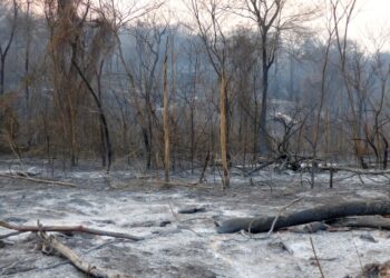 Incendios Forestales: se amplía el horario de trabajo en campo para aprovechar mejor las bajas temperaturas pronosticadas