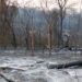 Incendios Forestales: se amplía el horario de trabajo en campo para aprovechar mejor las bajas temperaturas pronosticadas