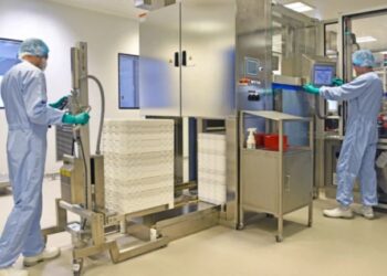 Llega a la Argentina la empresa de salud dedicada a la mujer