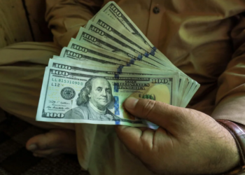 “Dólar soja”: los exportadores liquidaron hoy USD 330 millones, tras registrarse la mayor venta de soja de los últimos cinco años