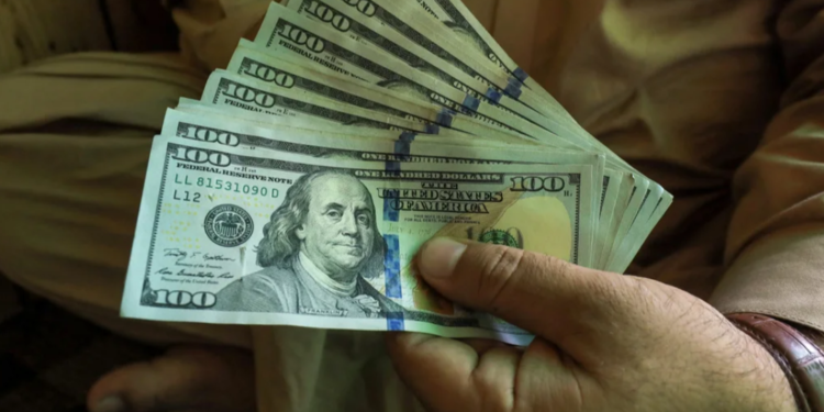 “Dólar soja”: los exportadores liquidaron hoy USD 330 millones, tras registrarse la mayor venta de soja de los últimos cinco años