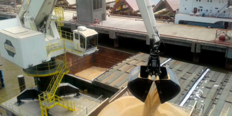 Récord de ventas por el “dólar-soja”: el agro liquidó US$620 millones y es el mayor monto diario en 10 años