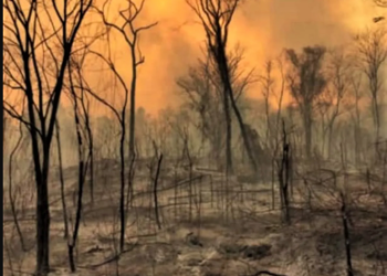 Jujuy: el incendio se encuentra ACTIVO, afectando un total de 7768 hectáreas