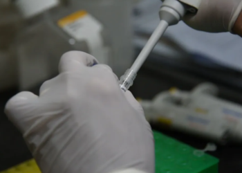 Se analiza un caso probable de dengue en Jujuy