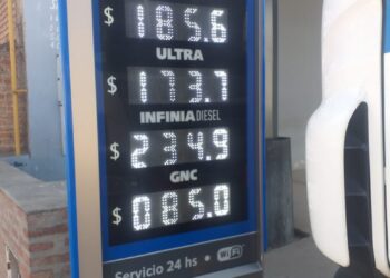 “El precio del combustible no fue lo que marcó la inflación en Argentina, este año”