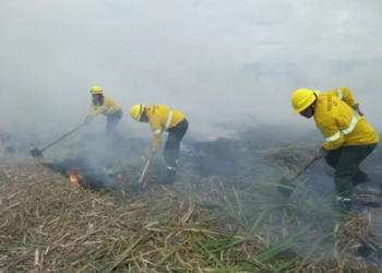 Incendios: el despliegue del Gobierno dio resultados positivos