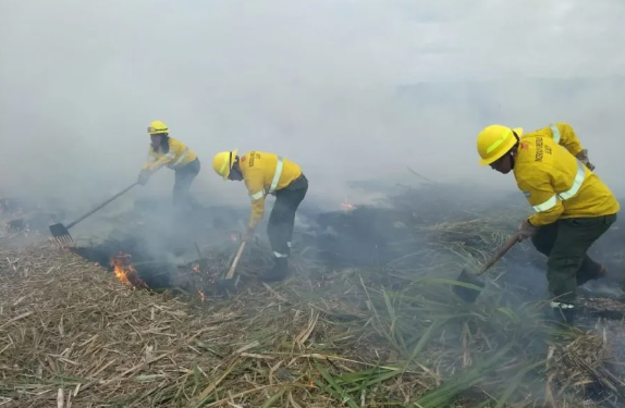 Incendios: el despliegue del Gobierno dio resultados positivos